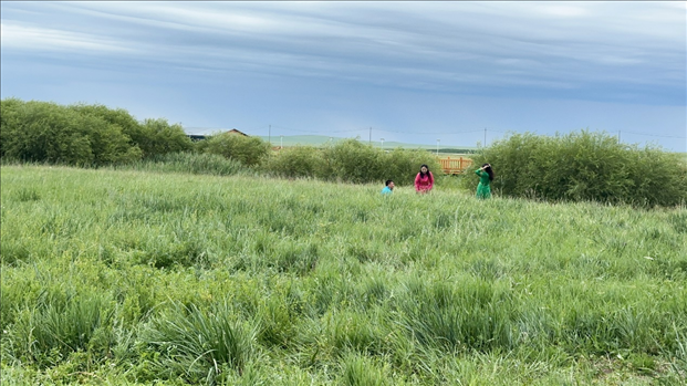 圖為游客在草原上拍照游玩。人民網(wǎng)記者 金洪花攝