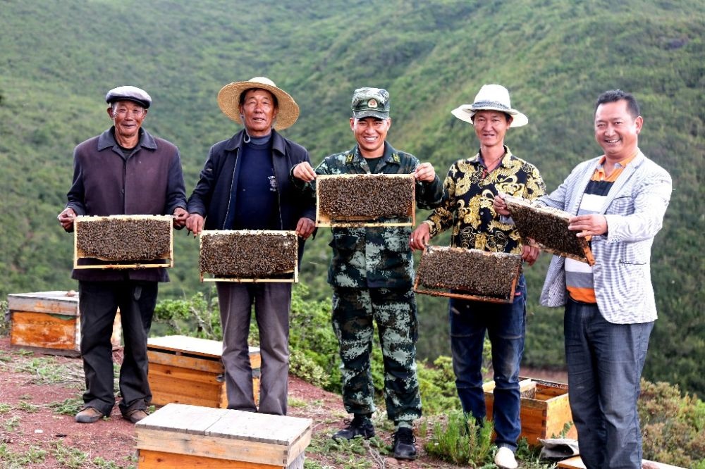 ↑武警四川總隊涼山支隊精準(zhǔn)幫扶昭覺縣梭梭拉打村發(fā)展養(yǎng)蜂產(chǎn)業(yè)，總隊駐村扶貧干部布哈（中）和村民一同展示豐收成果（2019年6月12日攝）。新華社發(fā)（楊劍 攝）
