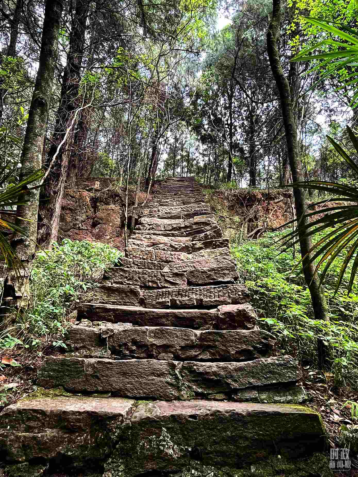 △古蜀道。（總臺(tái)央視記者郭曉龍拍攝）