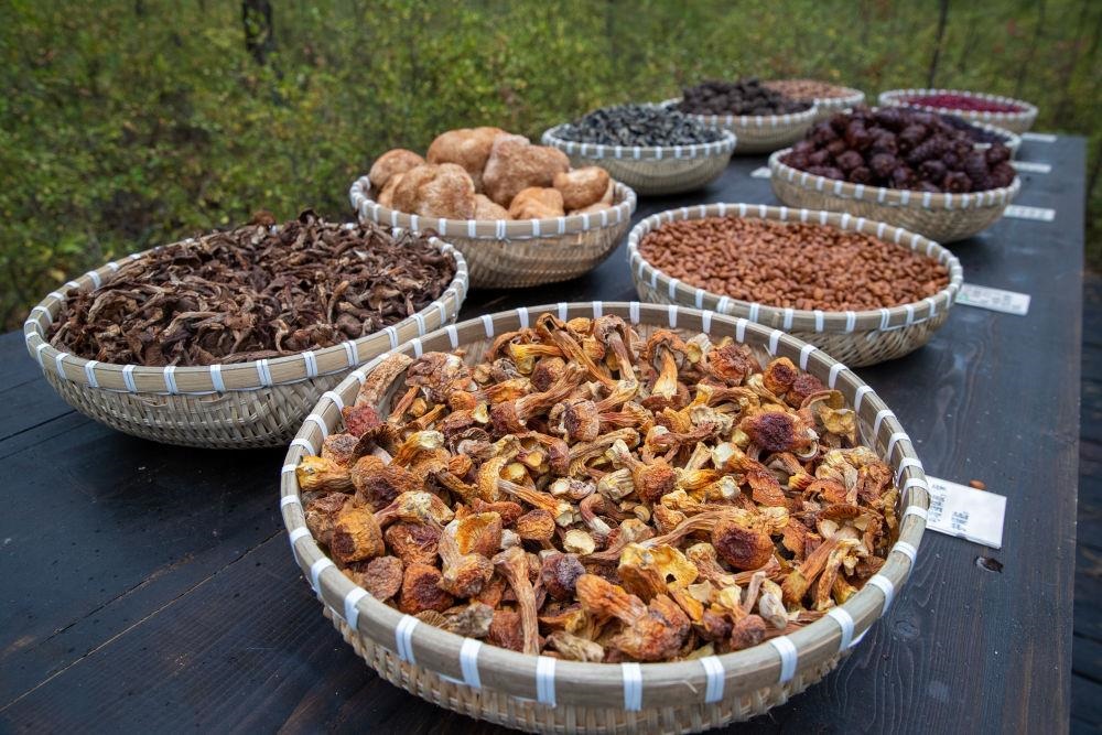 △近日，漠河市北極村一景區(qū)展示的林下產品。