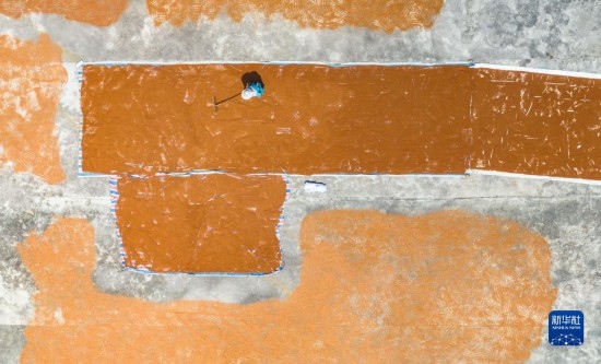 9月16日，農(nóng)民在貴州省安順市西秀區(qū)大西橋鎮(zhèn)吉昌村晾曬高粱（無(wú)人機(jī)照片）。