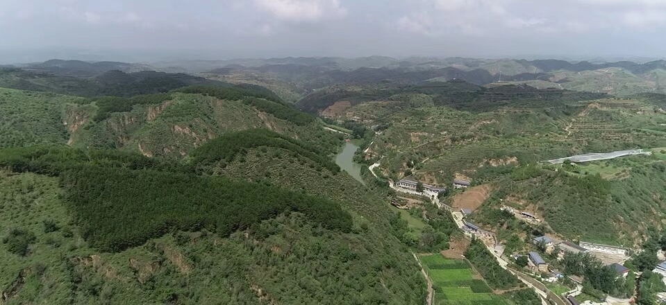 黃土溝壑中的高西溝村滿眼綠色（無人機照片，2023年7月26日）。新華社記者陳昌奇 攝