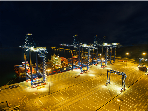 萊基港實(shí)行7×24小時(shí)裝卸作業(yè)機(jī)制。受訪者供圖