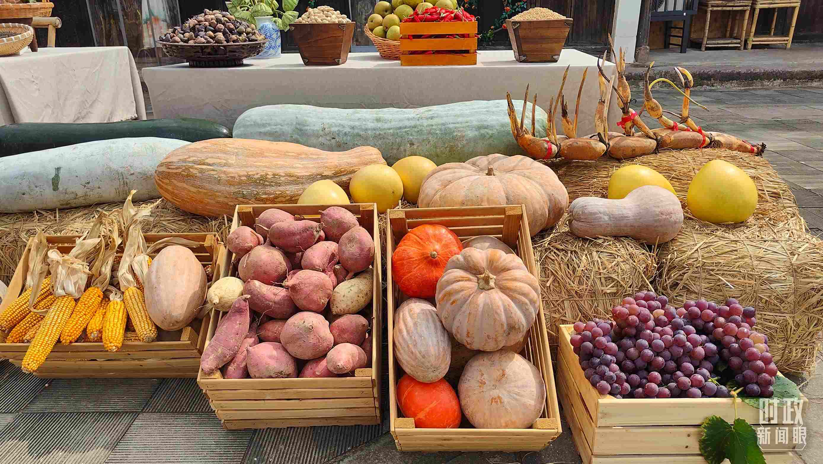 △村廣場“共富市集”，擺放著種類豐富的特色農(nóng)產(chǎn)品。（總臺央視記者楊立峰拍攝）