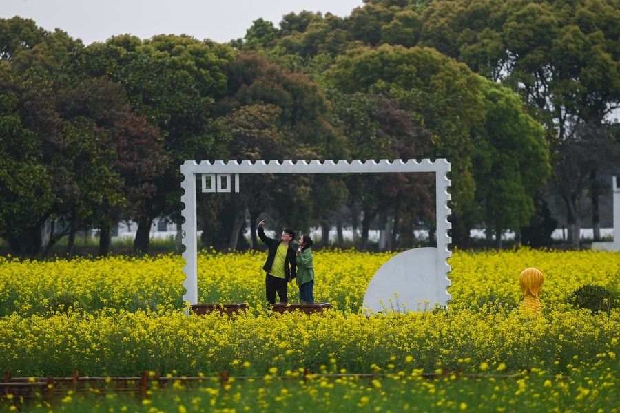  游客在浙江嘉興市秀洲區(qū)王店鎮(zhèn)鎮(zhèn)中村的“青青樂地”農(nóng)耕文化園內(nèi)游玩（2023年4月3日攝）。