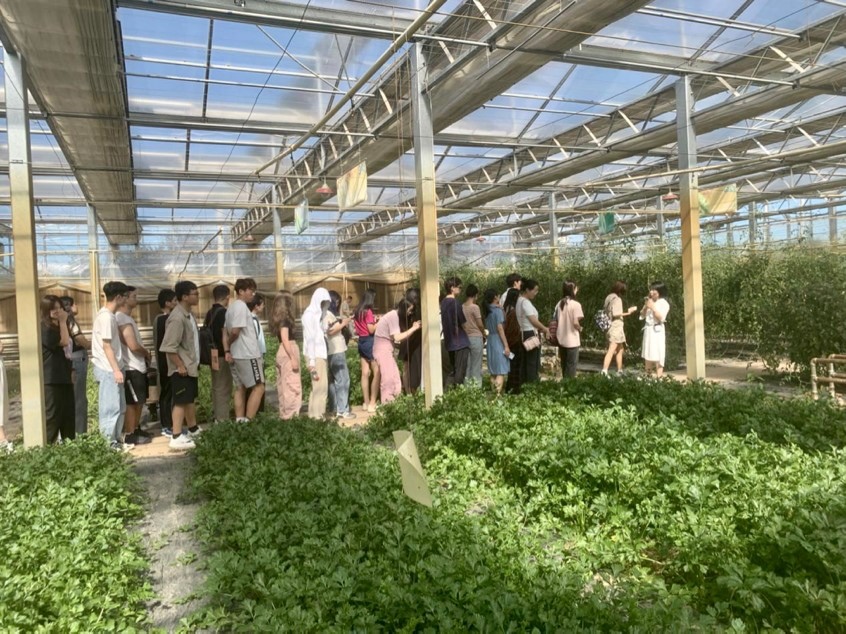 記者團參觀國信現(xiàn)代農業(yè)基地 了解現(xiàn)代化溫室建設及其配套設施的設計生產理念 中國農業(yè)大學勾琳萱 攝