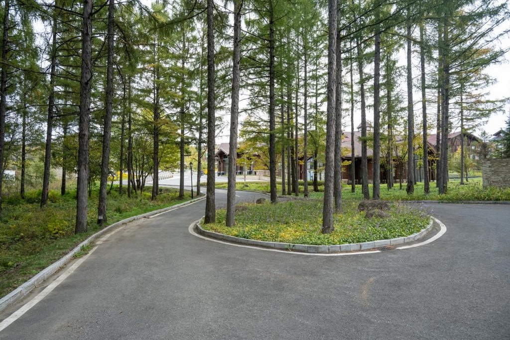 園區(qū)里“路讓樹(shù)”成為行為準(zhǔn)則。王哲攝