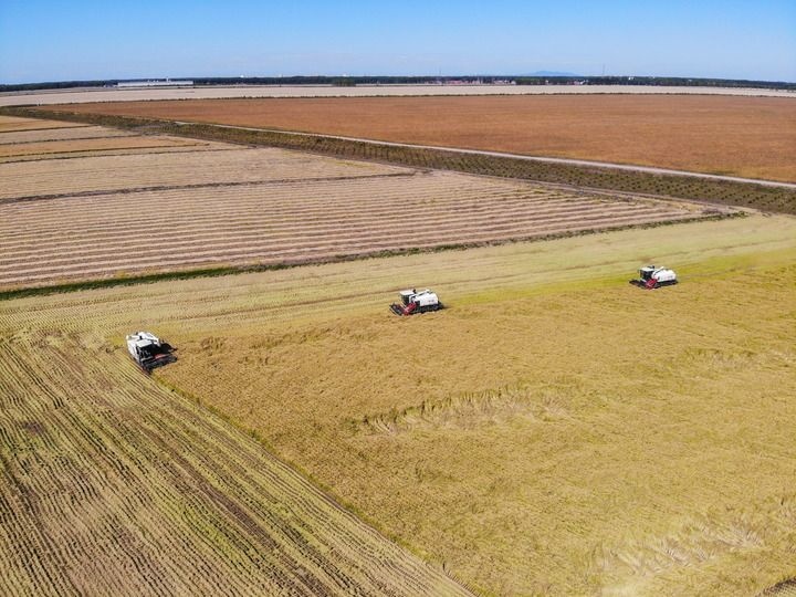 這是在位于黑龍江雙鴨山市友誼縣的北大荒農(nóng)業(yè)股份有限公司友誼分公司一地塊拍攝的水稻收獲現(xiàn)場(chǎng)（2023年9月21日攝，無人機(jī)照片）。新華社記者 王松 攝