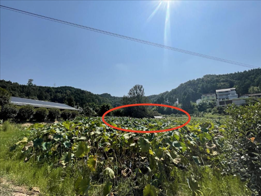 曾經(jīng)的圣水園所在地。 人民網(wǎng)記者 楊喬攝