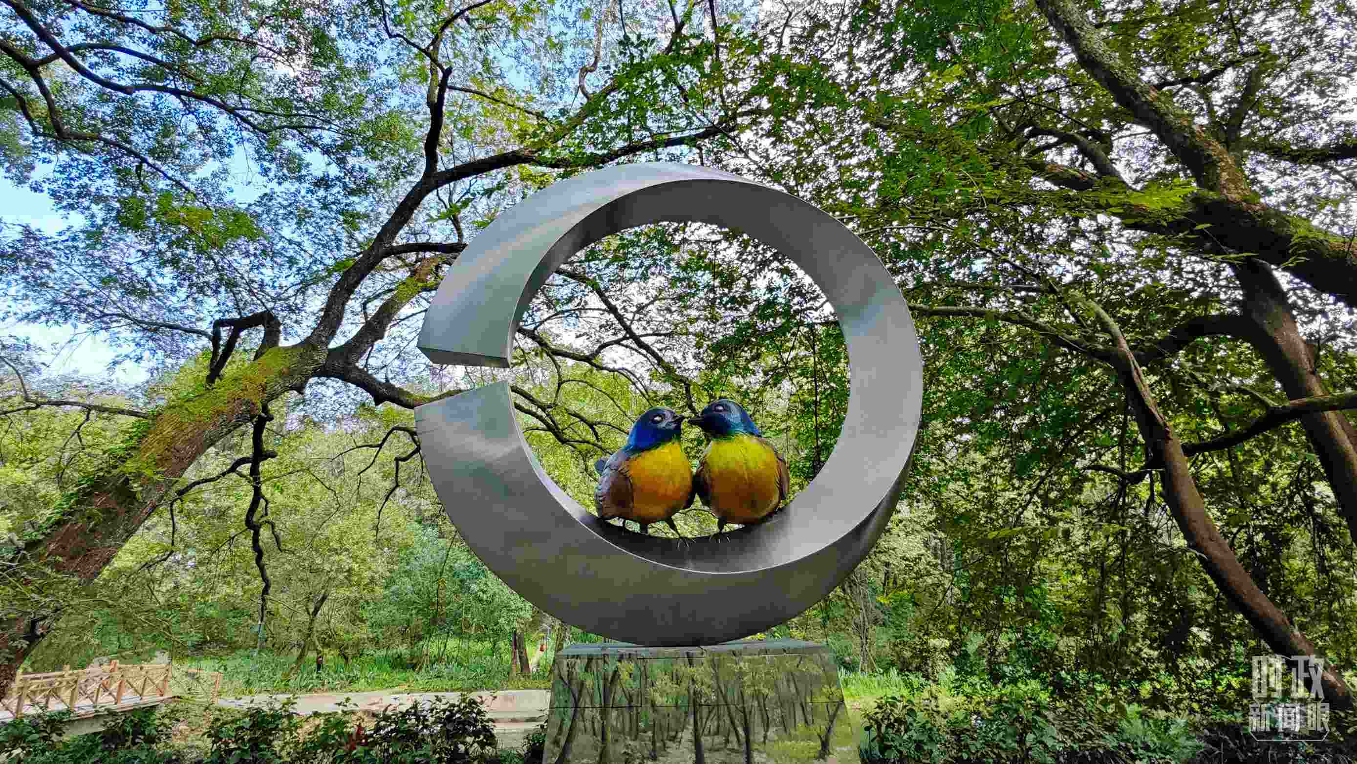 △石門村里的藍(lán)冠噪鹛雕像。（總臺(tái)央視記者許永松拍攝）