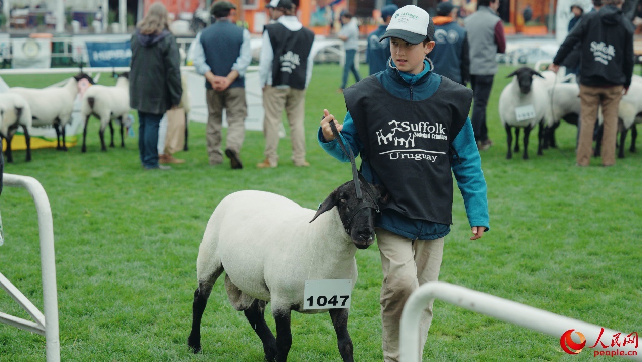 烏拉圭第118屆普拉多牧農(nóng)業(yè)國際博覽會(huì)現(xiàn)場(chǎng)。人民網(wǎng)記者 張若涵攝