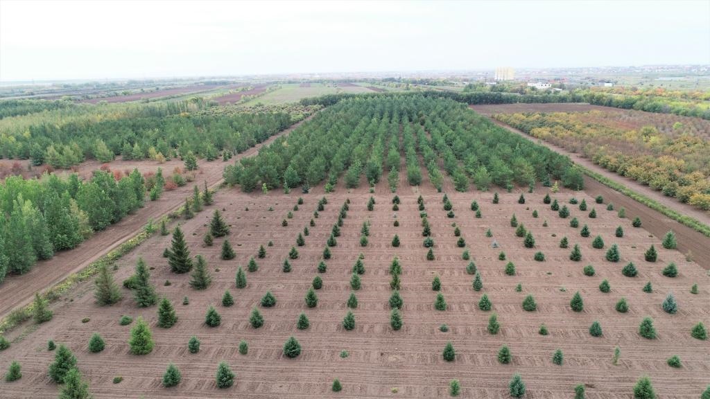 這是2023年9月11日在哈薩克斯坦首都阿斯塔納拍攝的一處植物種質(zhì)資源苗圃（無人機(jī)照片）。新華社發(fā)（法爾哈特·圖克諾夫 攝）