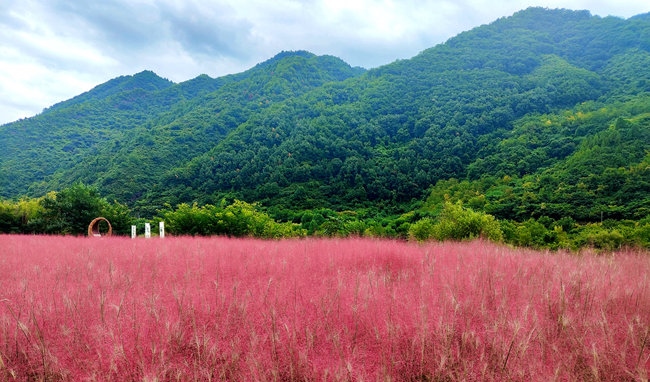 寶成線鳳縣境內(nèi)的路邊。