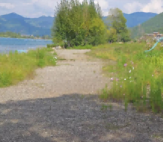 王軍所說(shuō)被填區(qū)域。 人民網(wǎng)記者 黃鈺攝