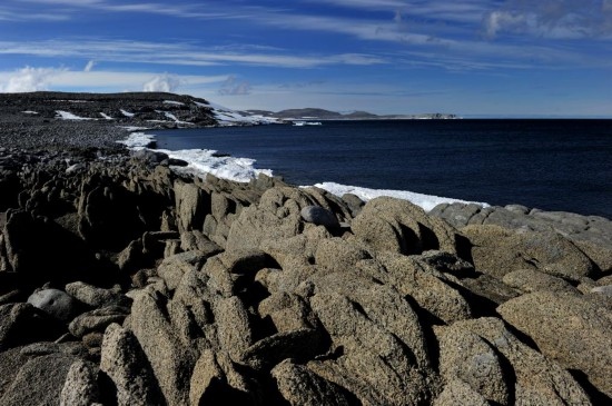 羅斯海恩克斯堡島的夏季風光。新華社記者 張建松 攝