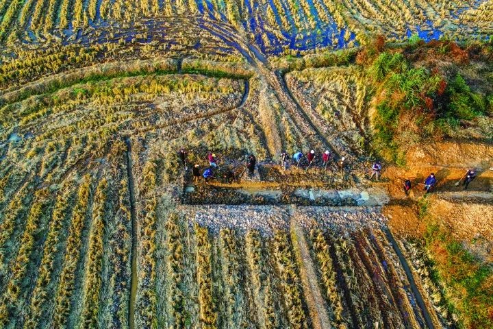 良渚遺址考古發(fā)掘現(xiàn)場。