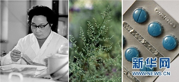 屠呦呦、青蒿和抗瘧疾成藥（拼版資料照片）