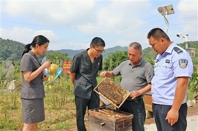  圖②：蒙山法院黃村法庭法官深入蜂蜜合作社，實地了解蜂農(nóng)需求。