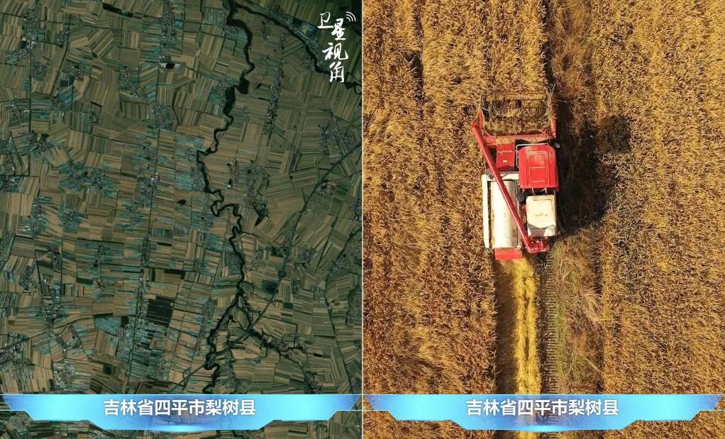 隨著現(xiàn)代化農(nóng)機(jī)普及應(yīng)用，保護(hù)性耕作“梨樹模式”得以大面積推廣，不僅使黑土地保護(hù)與利用持續(xù)深入，更為糧食作物高產(chǎn)穩(wěn)產(chǎn)助力。