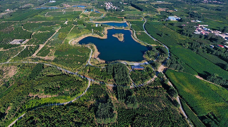 這是2022年9月6日拍攝的雄安新區(qū)“千年秀林”。