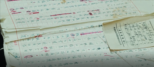 曲波《林海雪原》手稿。主辦方供圖