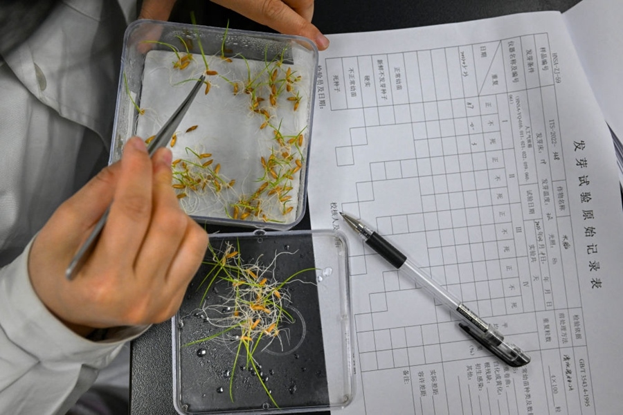 2022年3月23日，在湖南省農(nóng)作物種質(zhì)資源庫實驗室，檢測員對保存的水稻種子進行發(fā)芽試驗檢測。