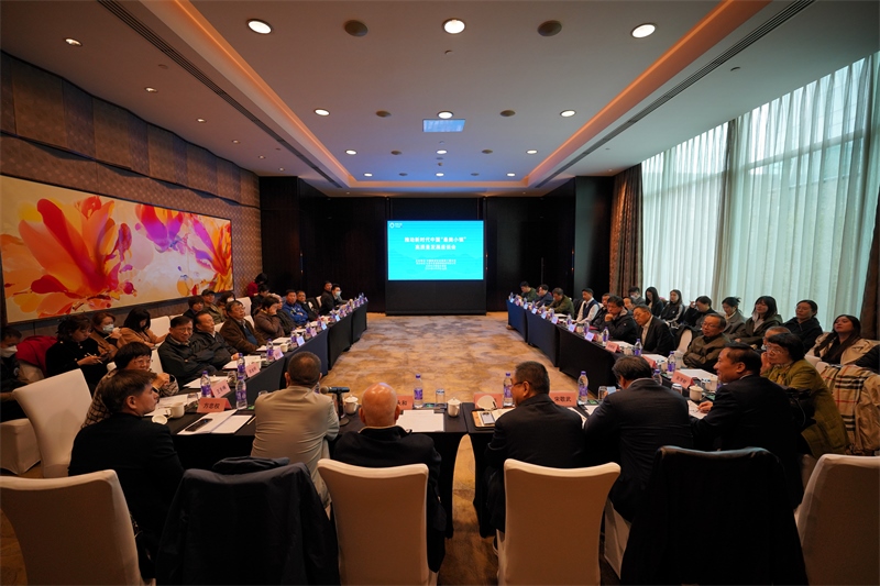 座談會現(xiàn)場。主辦方供圖