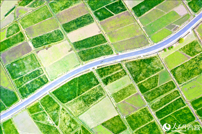 無人機視角下的西藏山南市瓊結(jié)農(nóng)田。人民網(wǎng)記者 次仁羅布攝