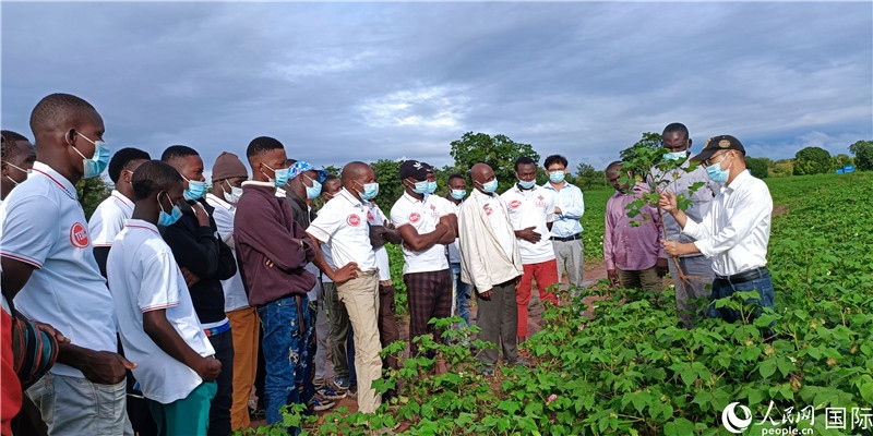 項(xiàng)目組長(zhǎng)首小勇向當(dāng)?shù)孛揶r(nóng)做技術(shù)講解。人民網(wǎng)記者 黃培昭攝