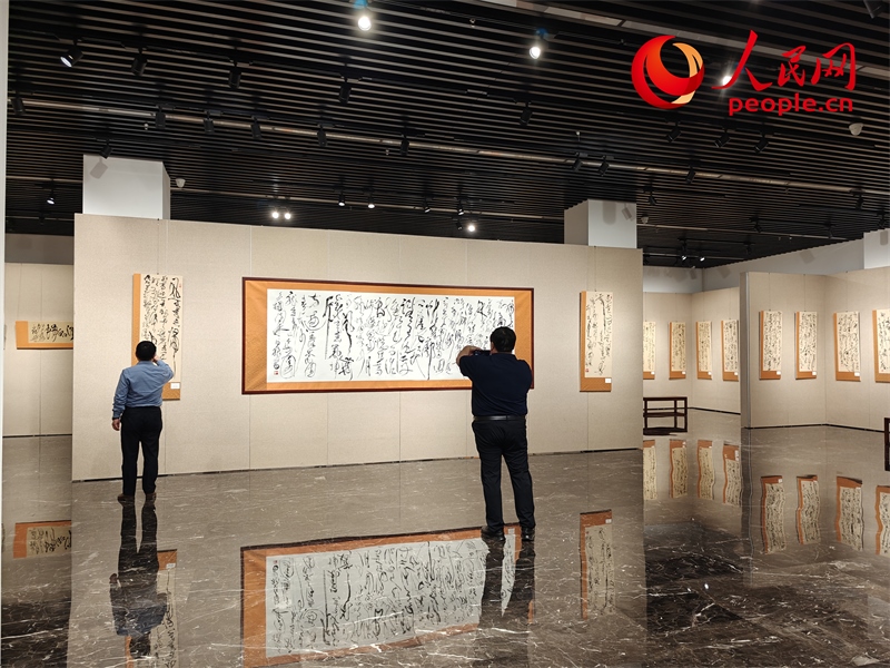 觀眾正在參觀展覽。人民網(wǎng)記者 韋衍行攝