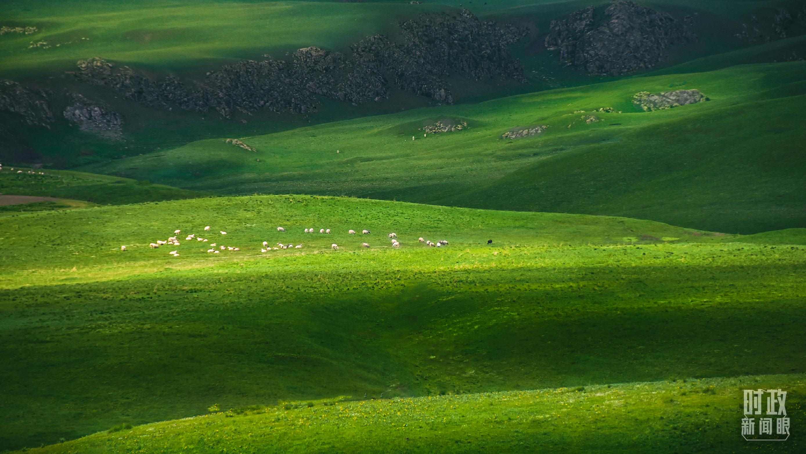 △祁連山草原光影。（圖/視覺中國）