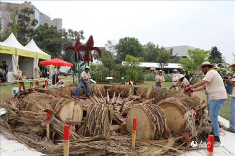 坎波·馬特活動現場。埃內斯托·多明戈斯攝