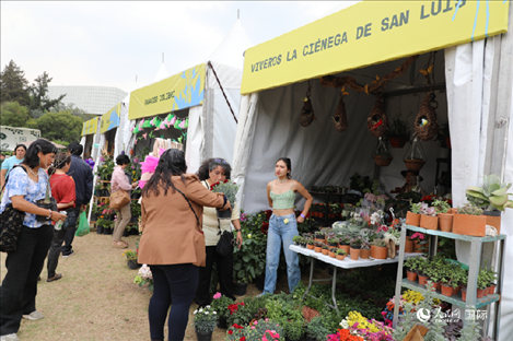 坎波·馬特活動現場。埃內斯托·多明戈斯攝