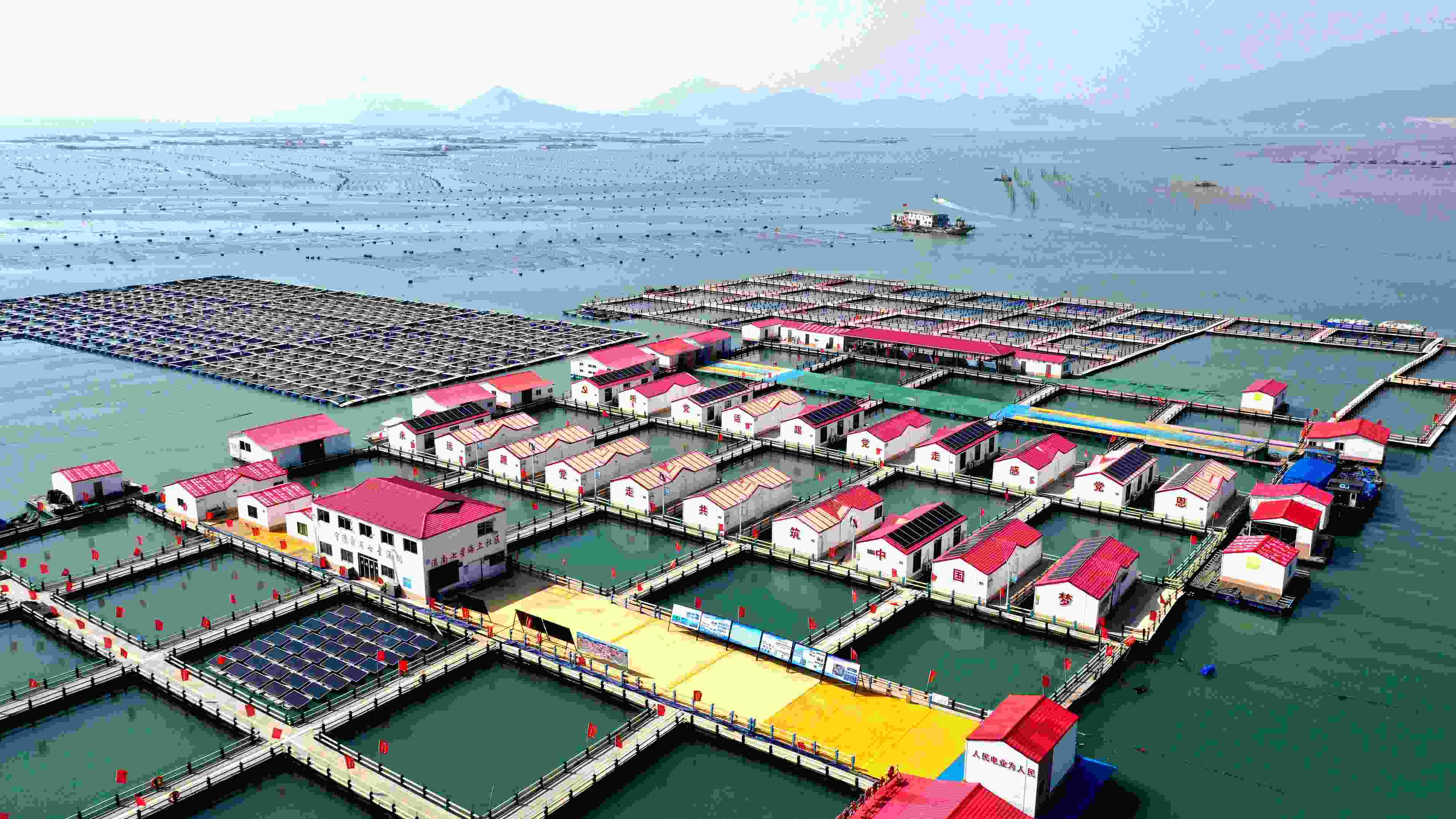 2024年3月20日，福建省寧德市，霞浦縣溪南鎮(zhèn)七星村漁排養(yǎng)殖示范區(qū)，漁民駕駛養(yǎng)殖船進(jìn)行海參養(yǎng)殖作業(yè)。