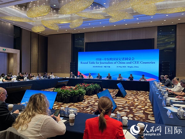 圓桌會現(xiàn)場。人民網(wǎng)記者 周輖攝