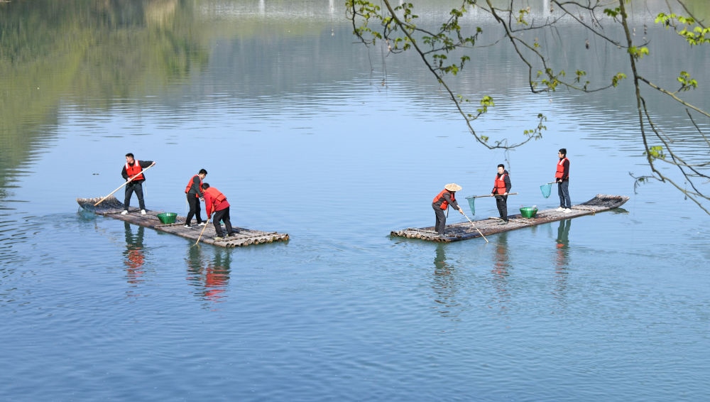 浙江省臺州市仙居縣步路鄉(xiāng)黨員志愿者與河長一起在永安溪巡河護(hù)水，清理雜物垃圾（2024年3月20日攝）。新華社發(fā)（王華斌攝）