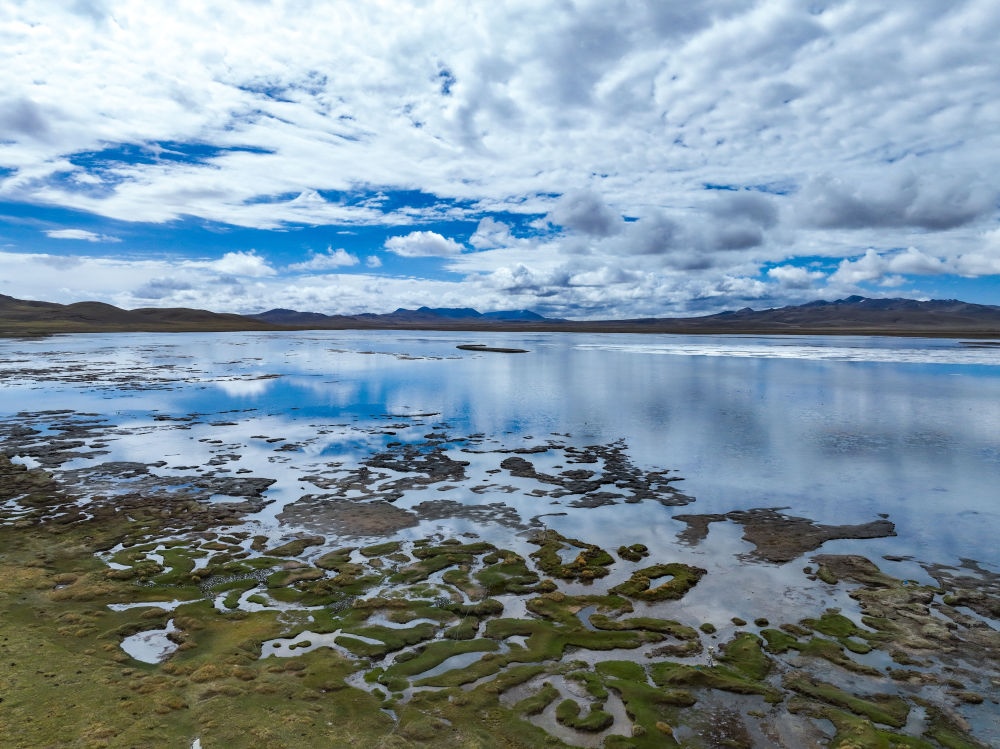 這是2024年5月26日在長(zhǎng)江源頭地區(qū)拍攝的班德湖一角（無(wú)人機(jī)照片）。新華社記者 張龍 攝