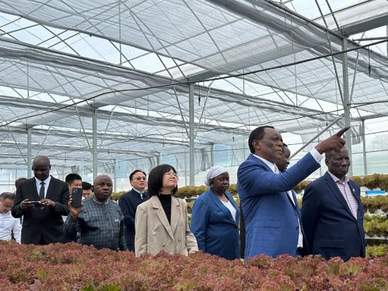 使節(jié)團(tuán)考察貴州省清鎮(zhèn)駱家橋蔬菜保供基地的無土栽培溫室。新華社記者 袁睿 攝