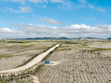 剛剛竣工的其白線穿沙公路。