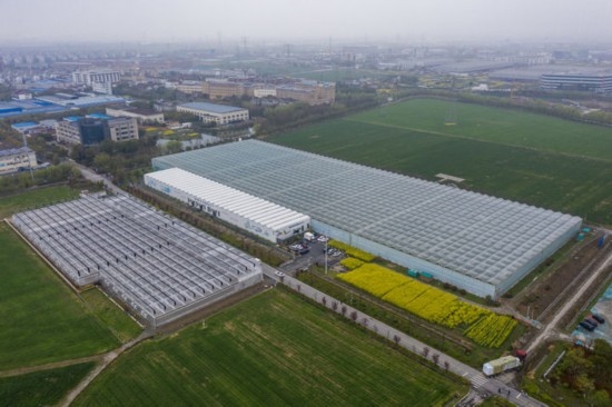 2024年3月28日，空中俯瞰嘉興南湖區(qū)湘家蕩農(nóng)業(yè)數(shù)字化工廠（無人機(jī)照片）。該農(nóng)業(yè)數(shù)字化工廠占地總面積約62畝，包含智慧農(nóng)業(yè)生產(chǎn)、物聯(lián)網(wǎng)智能管理、自動(dòng)分揀包裝、保鮮儲(chǔ)藏物流、高科技示范展示等五大功能區(qū)，可直接或間接培養(yǎng)帶動(dòng)新型職業(yè)技術(shù)農(nóng)民500人以上。新華社記者 徐昱 攝