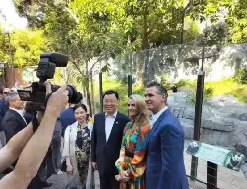 謝鋒大使及夫人與加州州長(zhǎng)紐森夫婦在圣迭戈動(dòng)物園大熊貓館前合影。圖片為中國(guó)駐美大使館提供