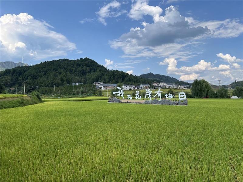 青瓦白磚的黔北民居、風(fēng)中搖曳的稻田、抬手可觸的大片云朵……才剛下車(chē)，格魯吉亞“經(jīng)濟(jì)中心網(wǎng)”總編輯莉安娜·喬爾喬利亞尼就被眼前的景色拖住了步履，喃喃細(xì)語(yǔ)：“實(shí)在太美了，讓我內(nèi)心平靜，在這里生活一定非常安逸和幸福。”（邱輝攝）