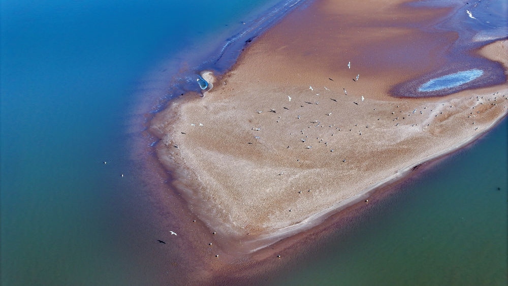 2024年3月1日拍攝的黃河寧夏段（無人機照片）。
