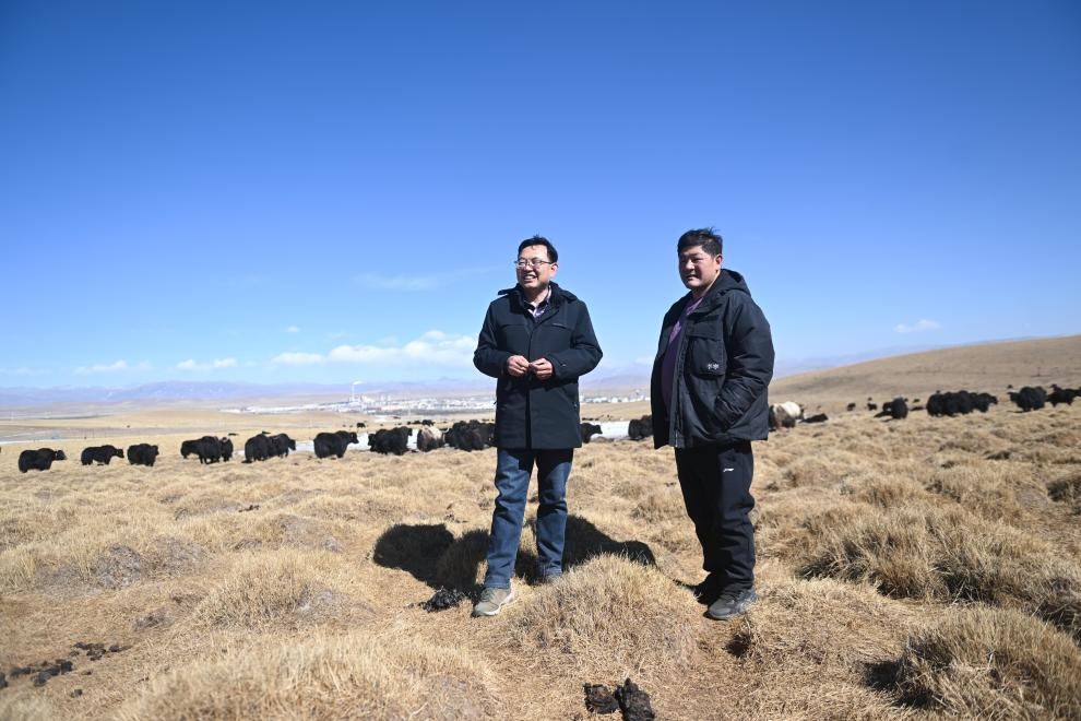 2023年2月24日，在青海省海北藏族自治州海晏縣青海湖鄉(xiāng)達(dá)玉日秀村，全國人大代表董全民（左）查看牧民東知布家的草場。新華社記者 張龍 攝