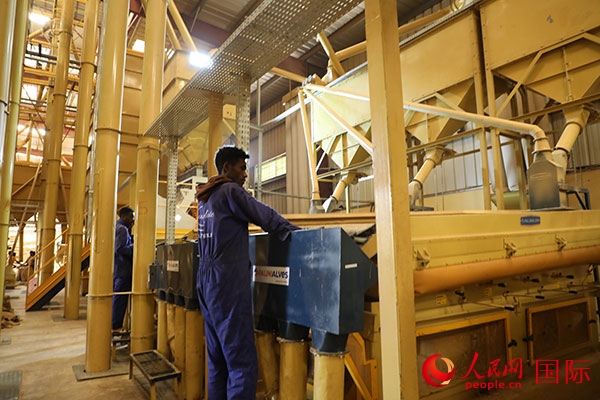 在Bule Hora咖啡加工廠里工作的當(dāng)?shù)毓と藗?。人民網(wǎng)記者 沈小曉攝