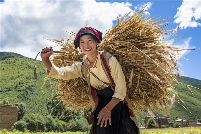 康定市甲根壩鎮(zhèn)青稞豐收，農(nóng)牧民臉上洋溢著豐收的喜悅。林革文攝