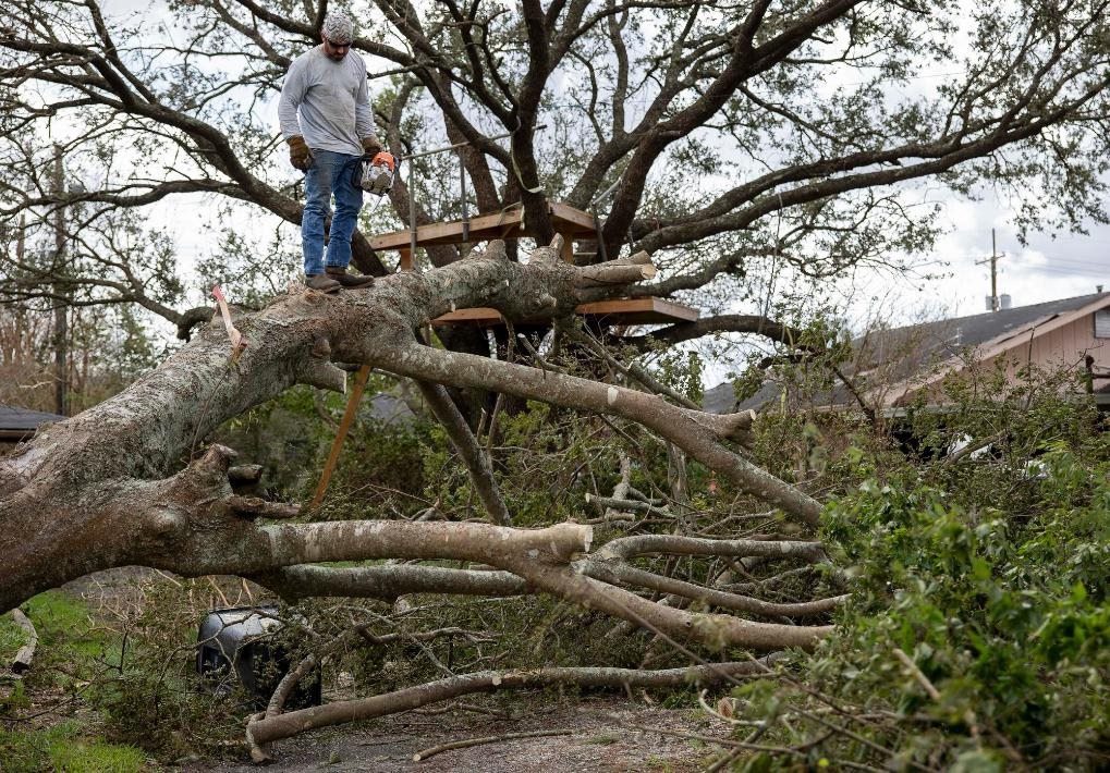 2021年8月30日，在美國路易斯安那州霍馬，一名男子站在被颶風(fēng)吹倒的大樹上。新華社發(fā)（尼克·瓦格納 攝）
