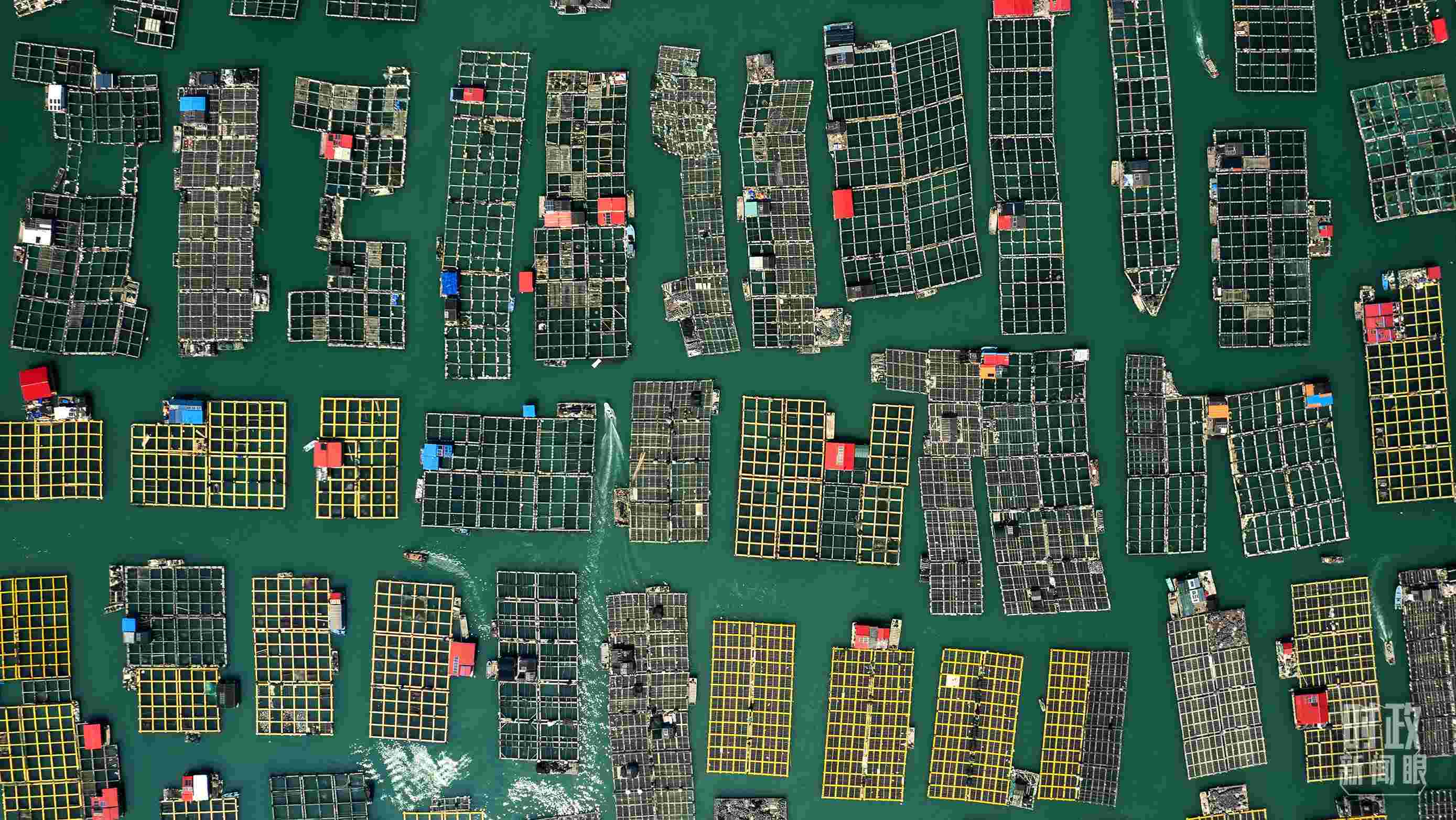 △澳角村。（總臺(tái)記者李晉拍攝）