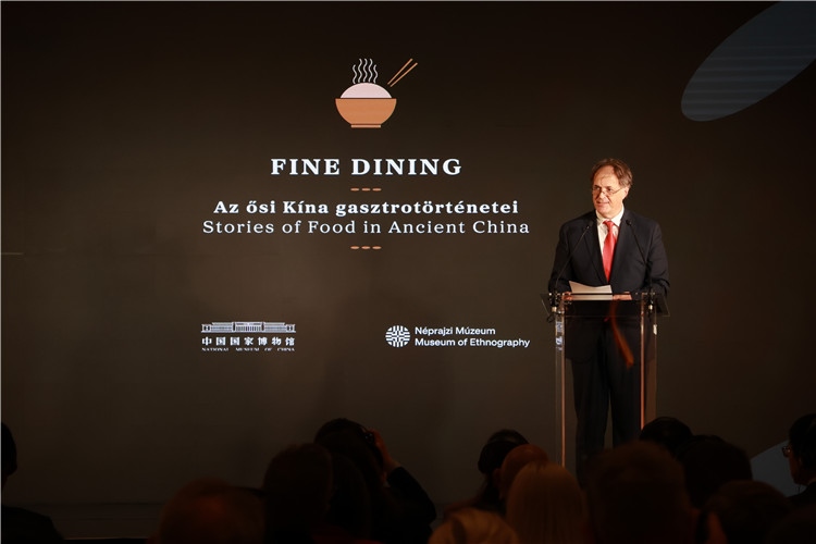 匈牙利文化和創(chuàng)新部副國務(wù)秘書喬鮑致辭。圖片由中國駐匈牙利大使館提供。