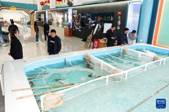 9月20日，游客在吉林省琿春市的帝王蟹保稅店內(nèi)選購(gòu)帝王蟹。新華社記者 許暢 攝